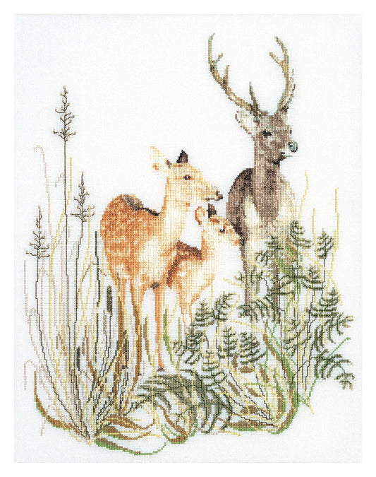 Deer Family - Aida - 16 - 938A