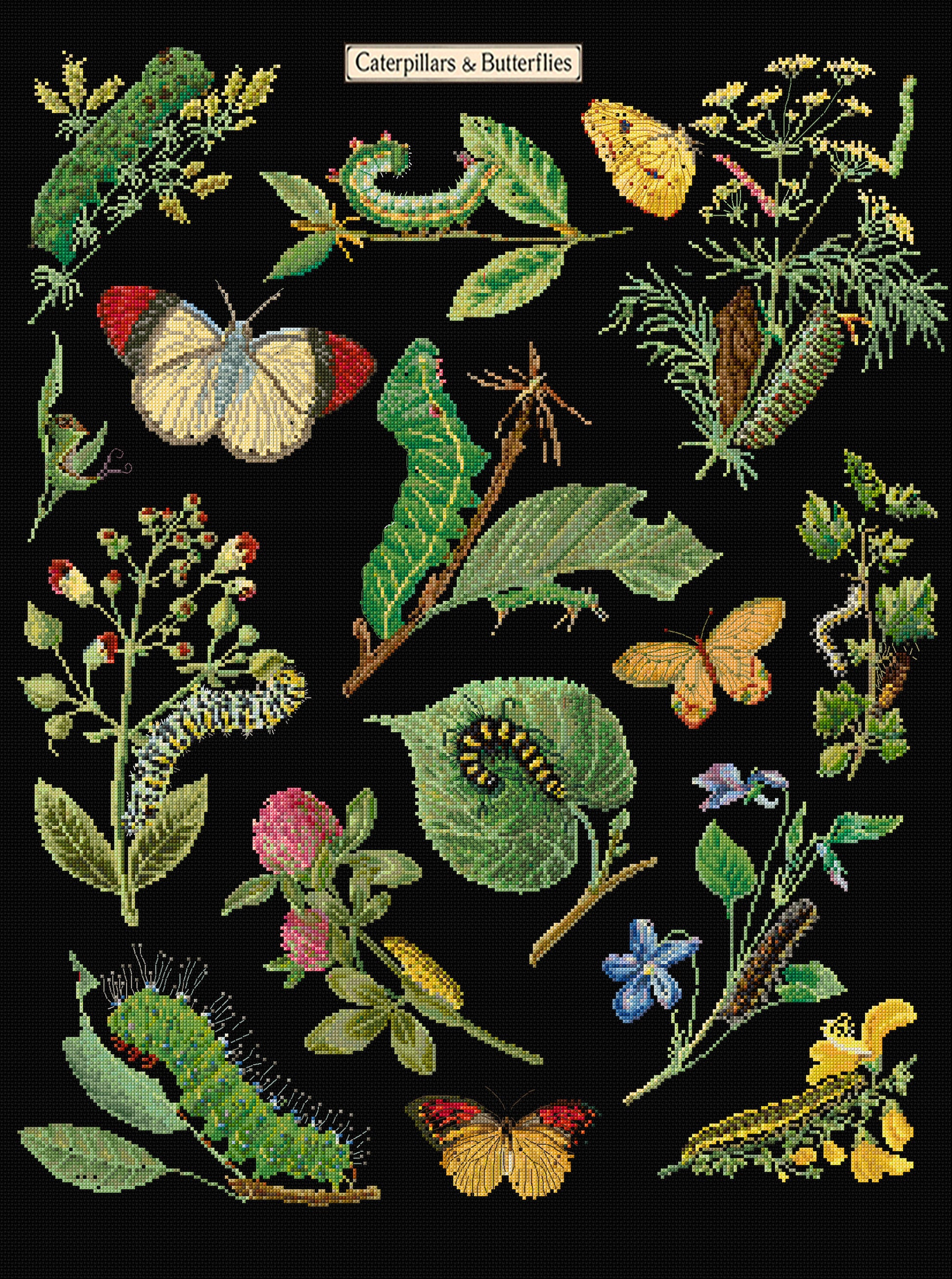 Counted Cross Stitch Kit - Caterpillars and Butterflies - Aida Black - 16 - 587.05-Thea Gouverneur Since 1959