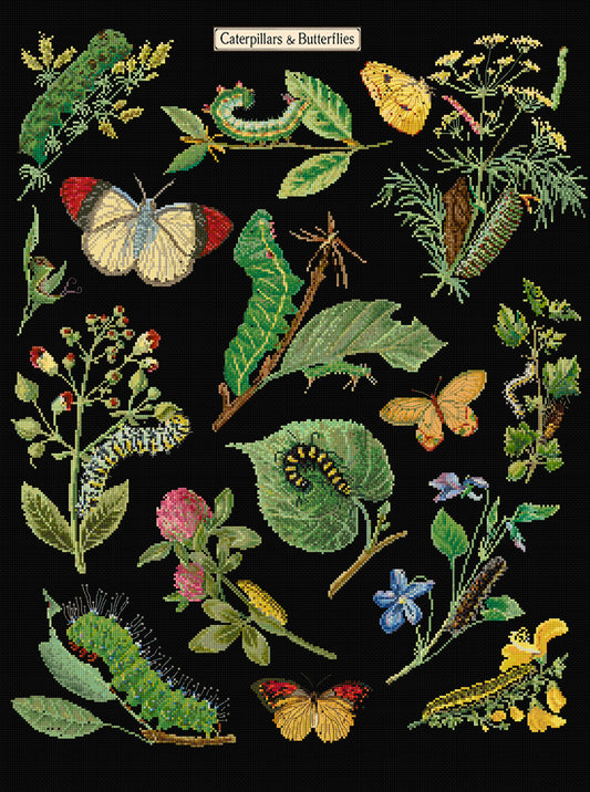 Counted Cross Stitch Kit - Caterpillars and Butterflies - Aida Black - 16 - 587.05-Thea Gouverneur Since 1959