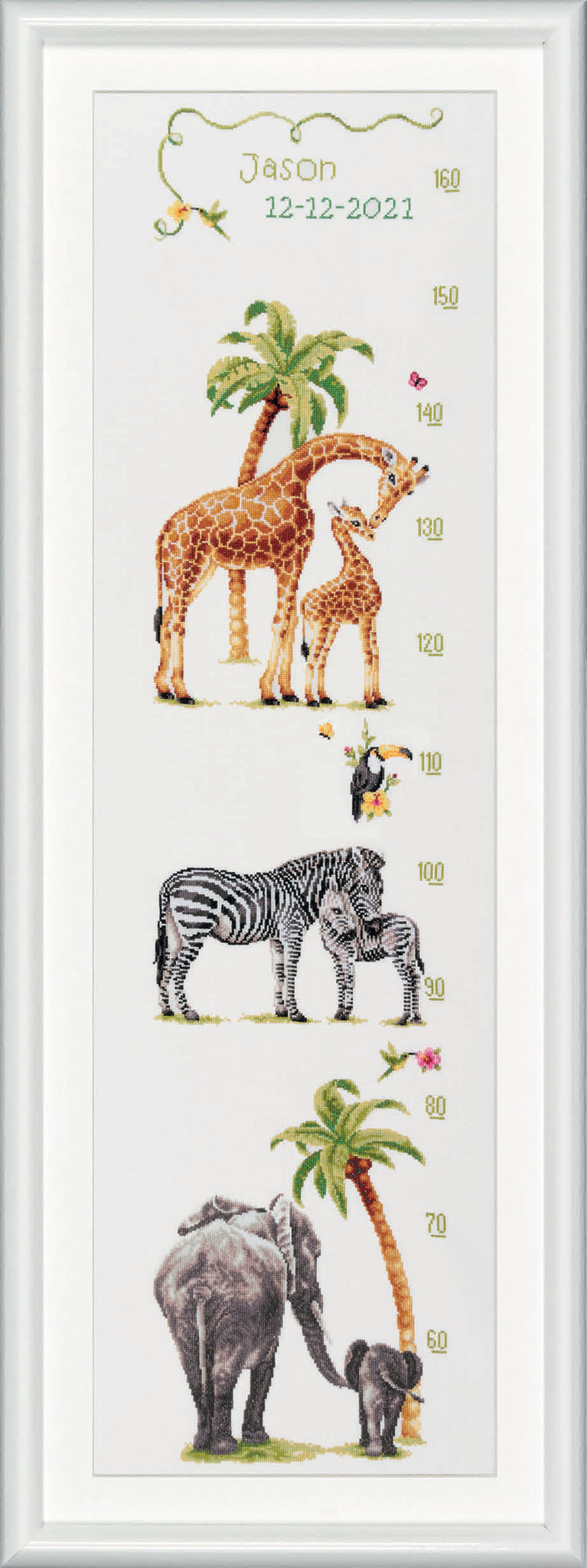 DSB002A - Growth Chart Safari - White Aida - 43.3 x 9.8 Inch