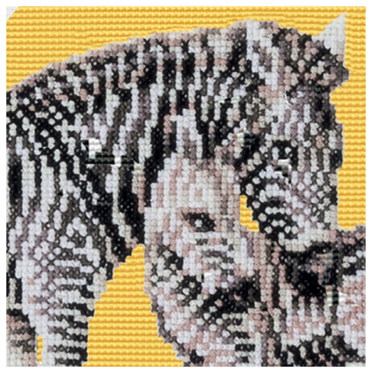 DSB006A - Safari Zebra - White Aida - 8.3 x 9.8 Inch