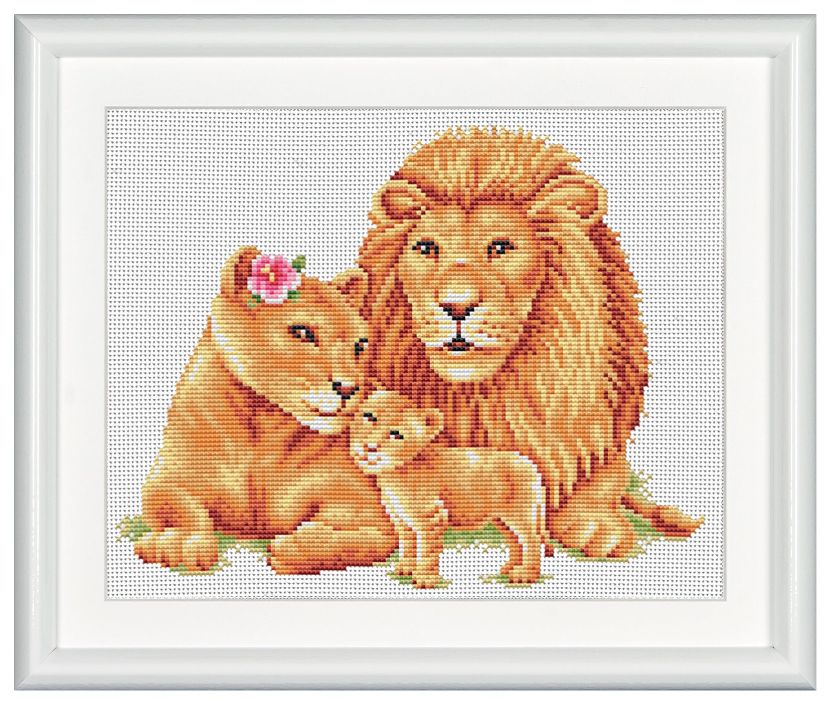 DSB007A - Safari Lion - White Aida - 8.3 x 9.8 Inch