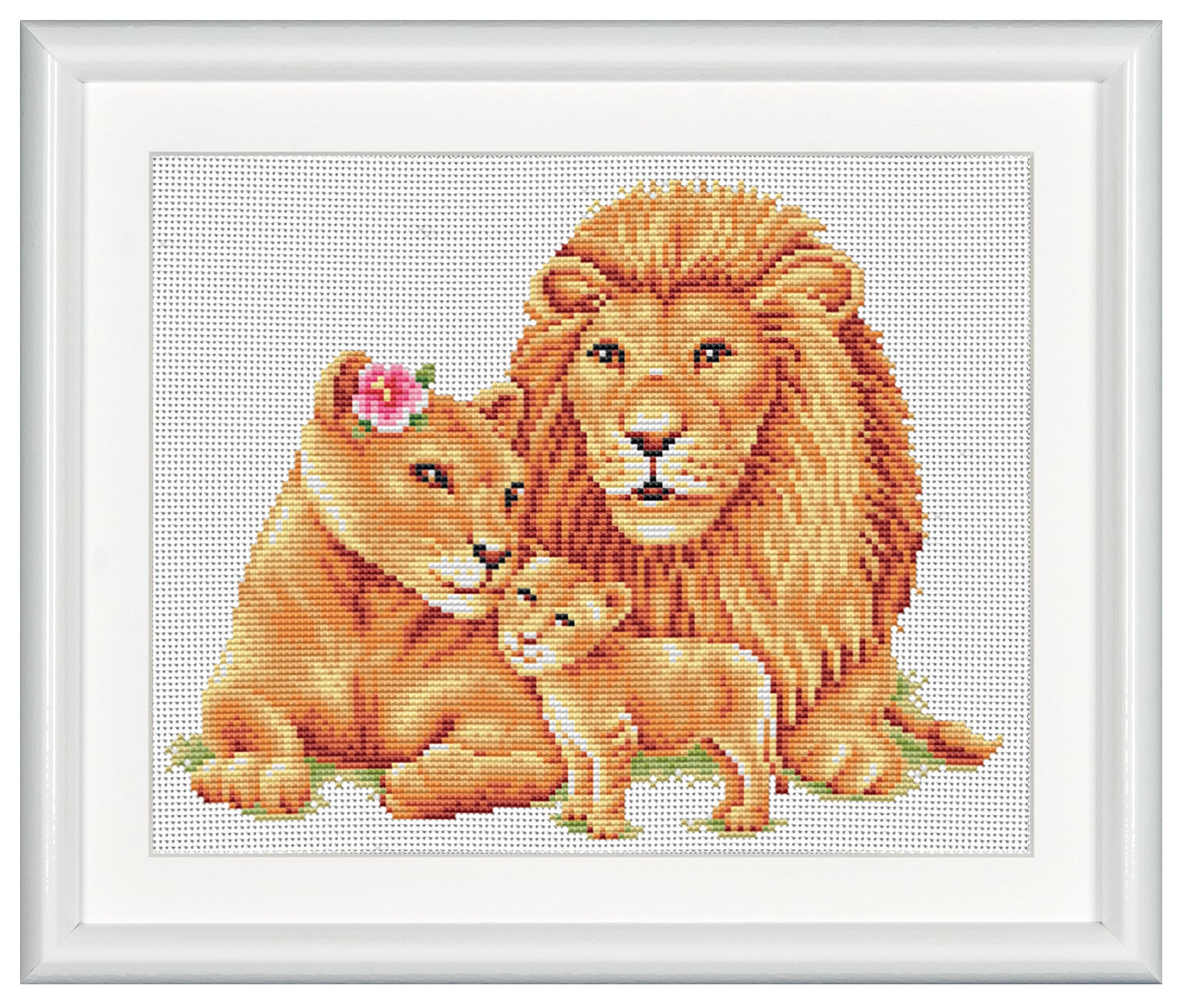 Safari Lion - Aida - 14 - DSB007A