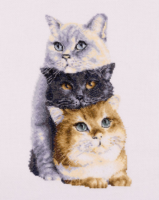 Three Cats - Aida - 14 - DSB012A