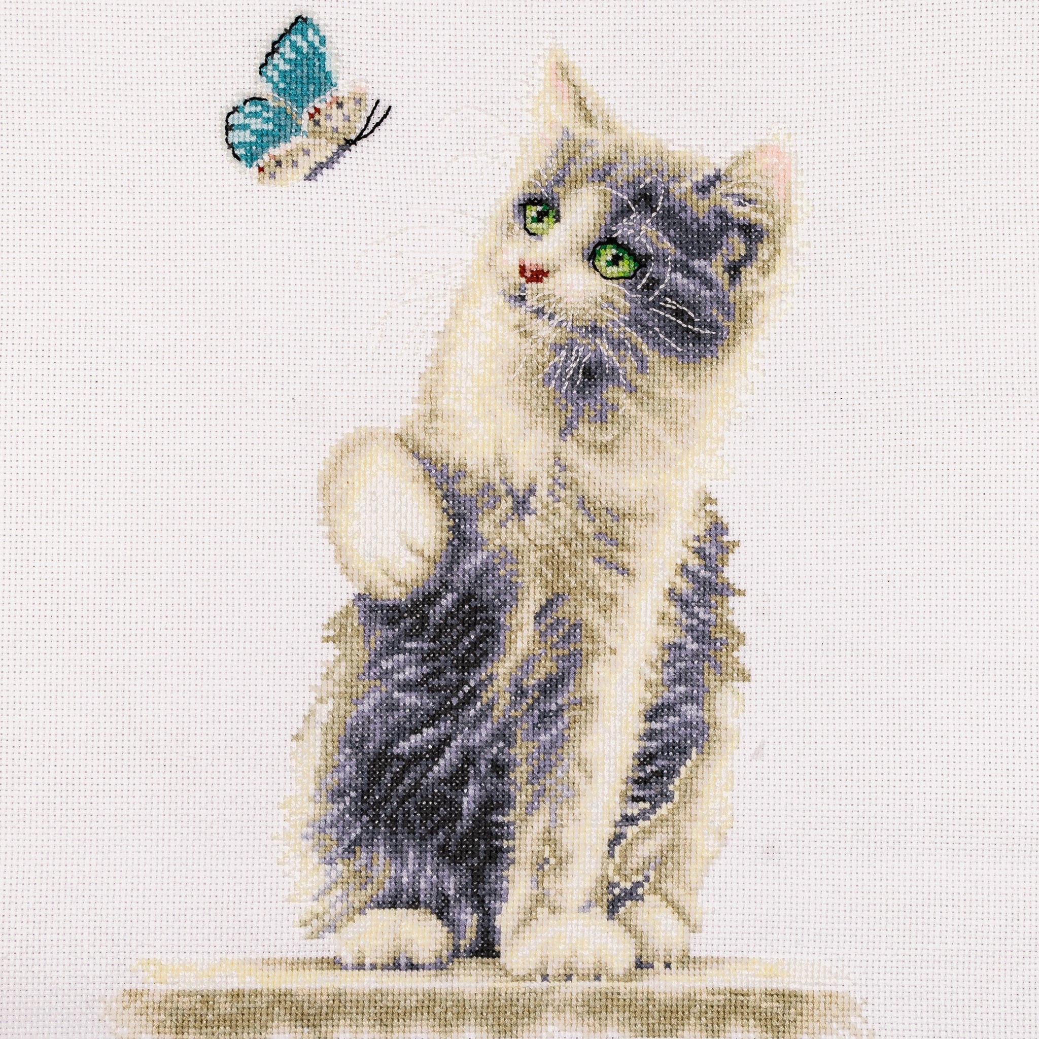 DSB013L - Cat with Butterfly - White Linen - 13.4 x 9.5 Inch