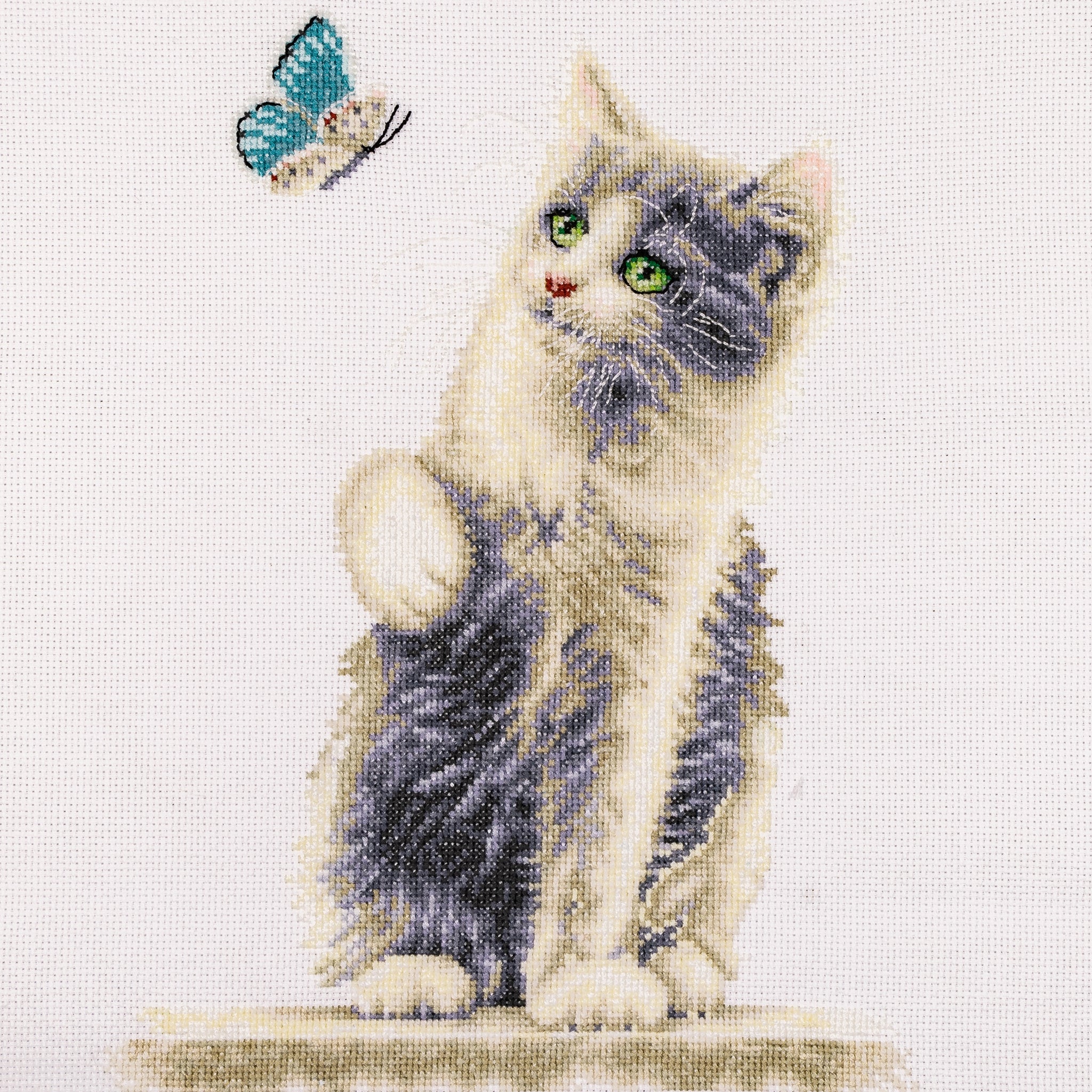 Cat With Butterfly - Linen - 28 - DSB013L