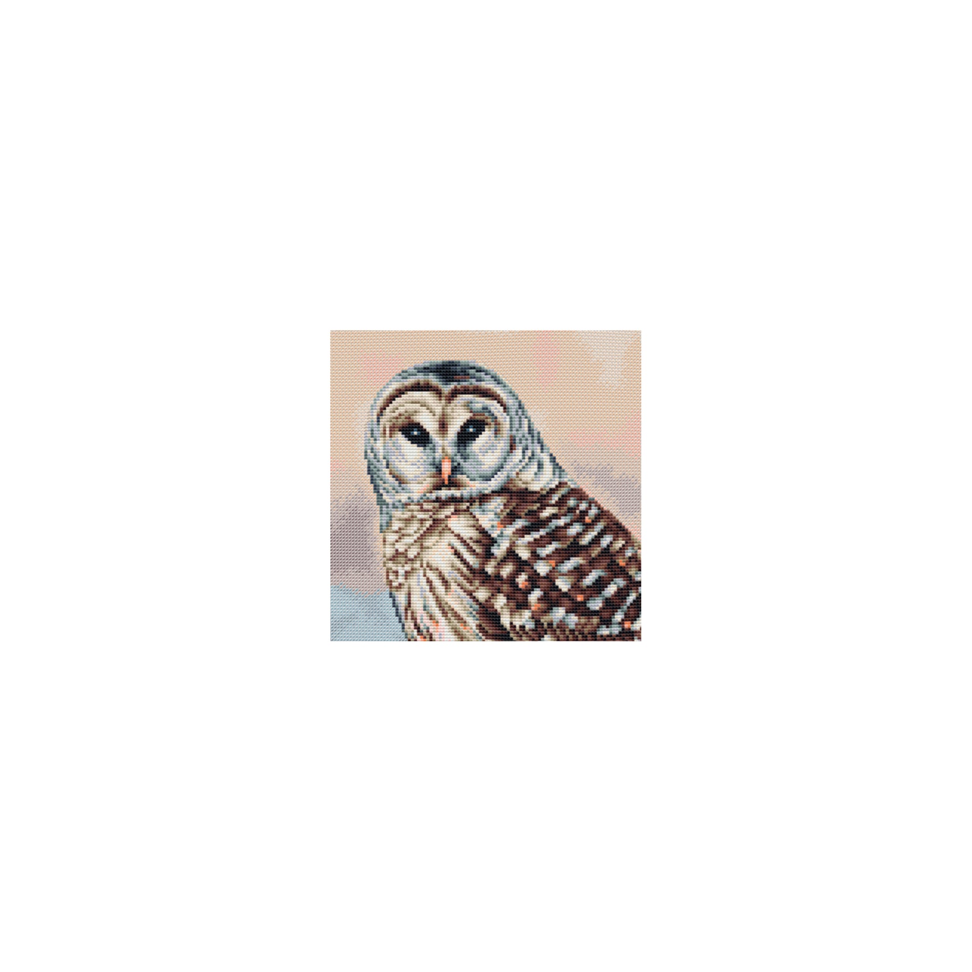 Cross stitch owl a light beige background
