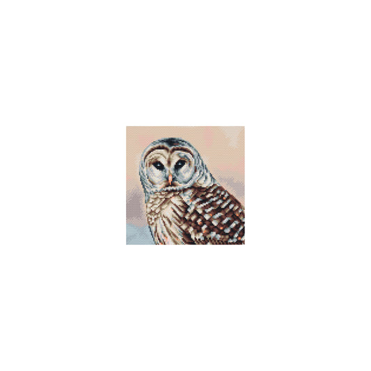 Cross stitch owl a light beige background