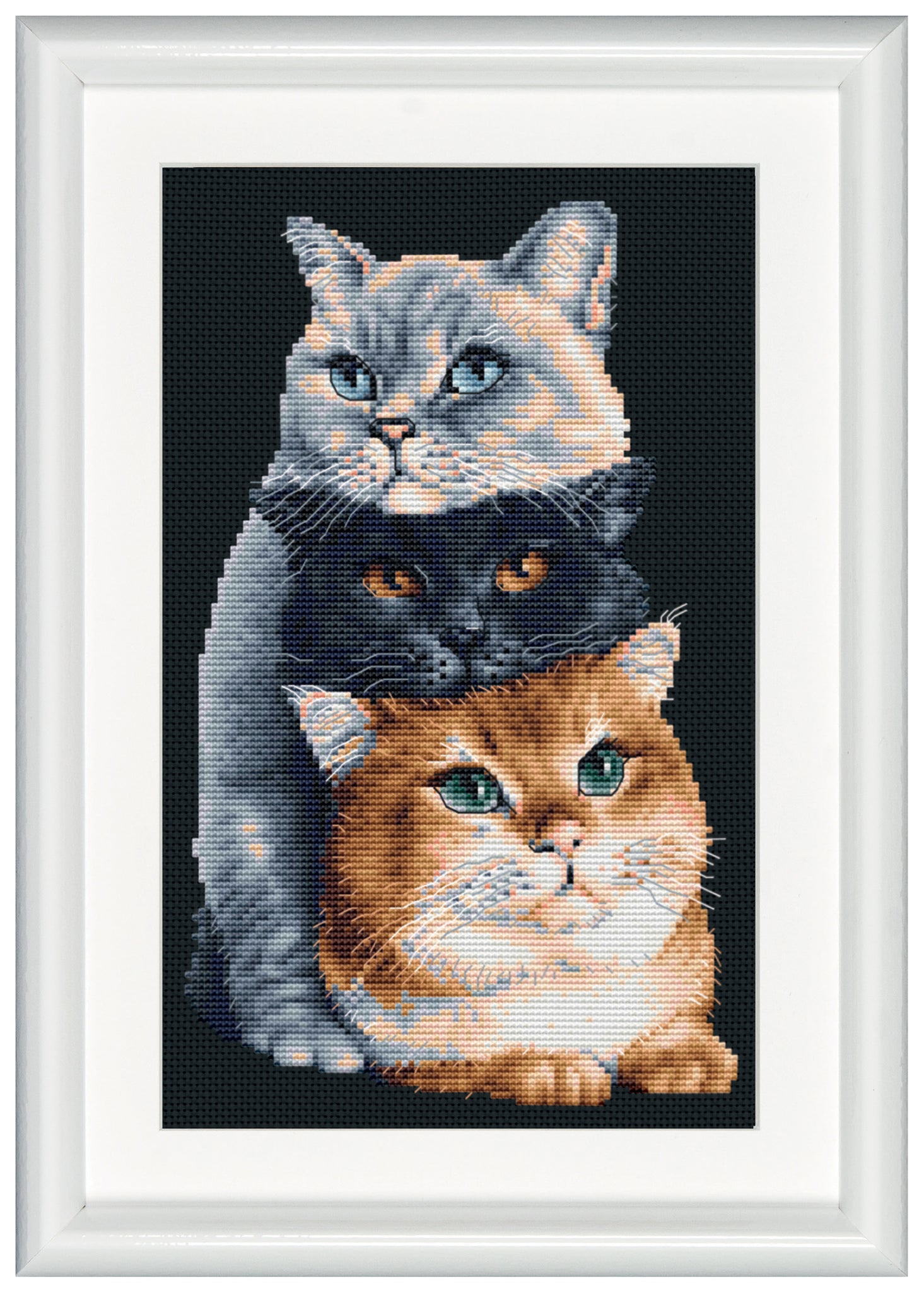 DSB015 - Three Cats - Black Aida - 10.2 x 7.1 Inch