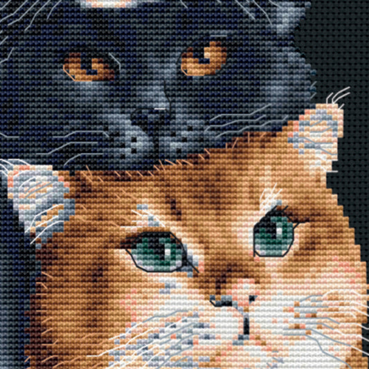 DSB015 - Three Cats - Black Aida - 10.2 x 7.1 Inch