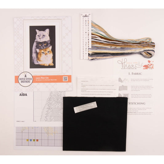 Embroidery kit with pattern and chart, needlework fabric, and threads on the floss organizer.