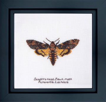 Thea Gouverneur - Counted Cross Stitch Kit - Death's-head Hawk moth - Aida - 16 count - 563A - Thea Gouverneur Since 1959