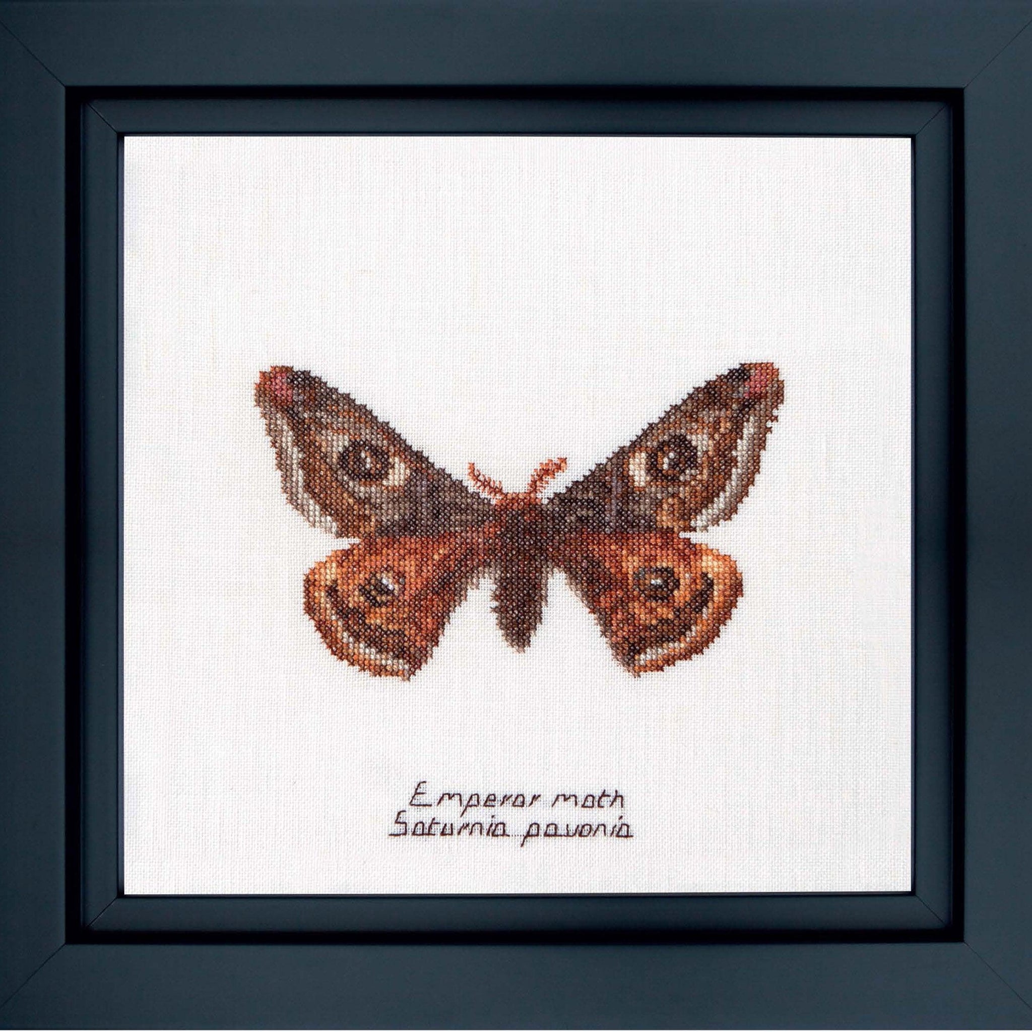 Thea Gouverneur - Counted Cross Stitch Kit - Emperor moth - Aida - 16 count - 562A - Thea Gouverneur Since 1959