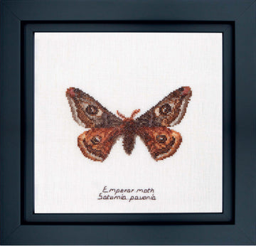 Thea Gouverneur - Counted Cross Stitch Kit - Emperor moth - Aida - 16 count - 562A - Thea Gouverneur Since 1959