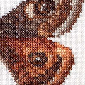 Thea Gouverneur - Counted Cross Stitch Kit - Emperor moth - Aida - 16 count - 562A - Thea Gouverneur Since 1959