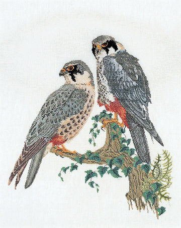 Thea Gouverneur - Counted Cross Stitch Kit - Falcons - Aida - 16 count - 2024A - Thea Gouverneur Since 1959