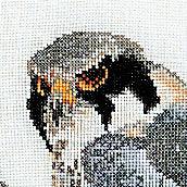 Thea Gouverneur - Counted Cross Stitch Kit - Falcons - Linen - 32 count - 2024 - Thea Gouverneur Since 1959