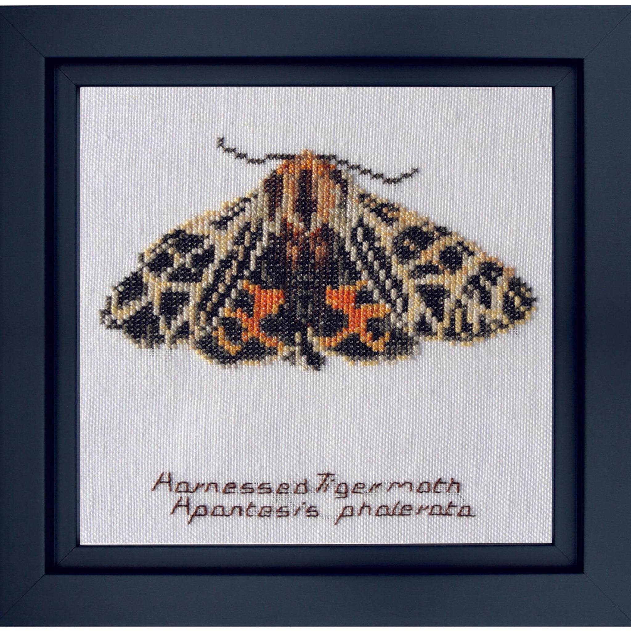 Thea Gouverneur - Counted Cross Stitch Kit - Harnessed Tiger moth - Aida - 16 count - 569A - Thea Gouverneur Since 1959