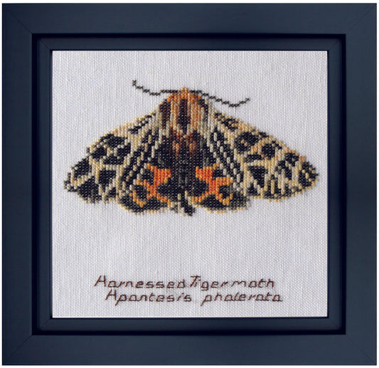 Thea Gouverneur - Counted Cross Stitch Kit - Harnessed Tiger moth - Aida - 16 count - 569A - Thea Gouverneur Since 1959