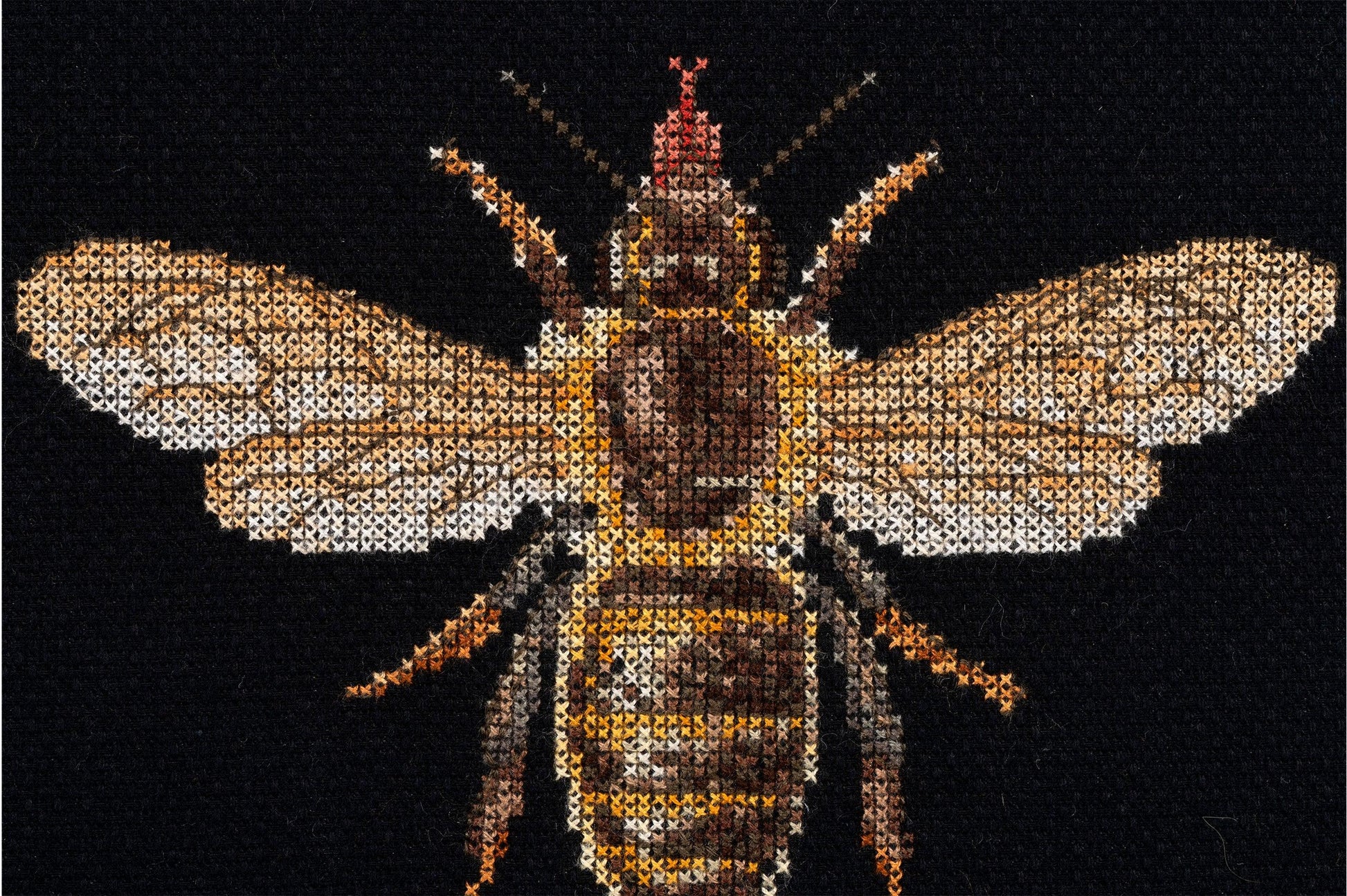 Thea Gouverneur - Counted Cross Stitch Kit - Honey Bee - Aida Black - 18 count - 3017.05 - Thea Gouverneur Since 1959