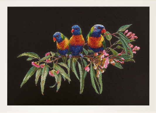 Thea Gouverneur - Counted Cross Stitch Kit - Lorrikeets - Aida Black - 16 count - 553.05 - Thea Gouverneur Since 1959