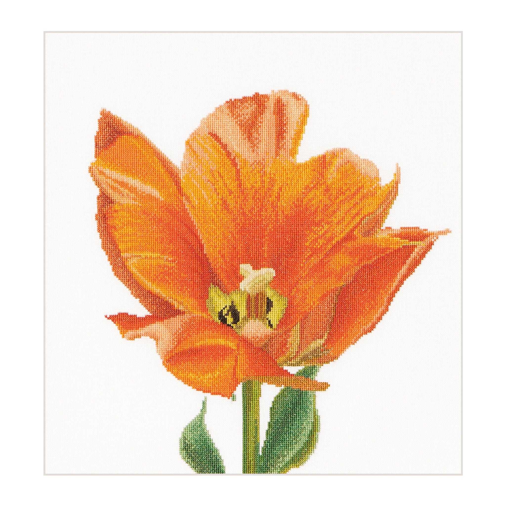 Thea Gouverneur - Counted Cross Stitch Kit - Orange Triumph Tulip - Linen - 32 count - 523 - Thea Gouverneur Since 1959