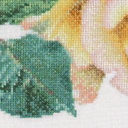 Thea Gouverneur - Counted Cross Stitch Kit - Peace Rose - Aida - 18 count - 429A - Thea Gouverneur Since 1959