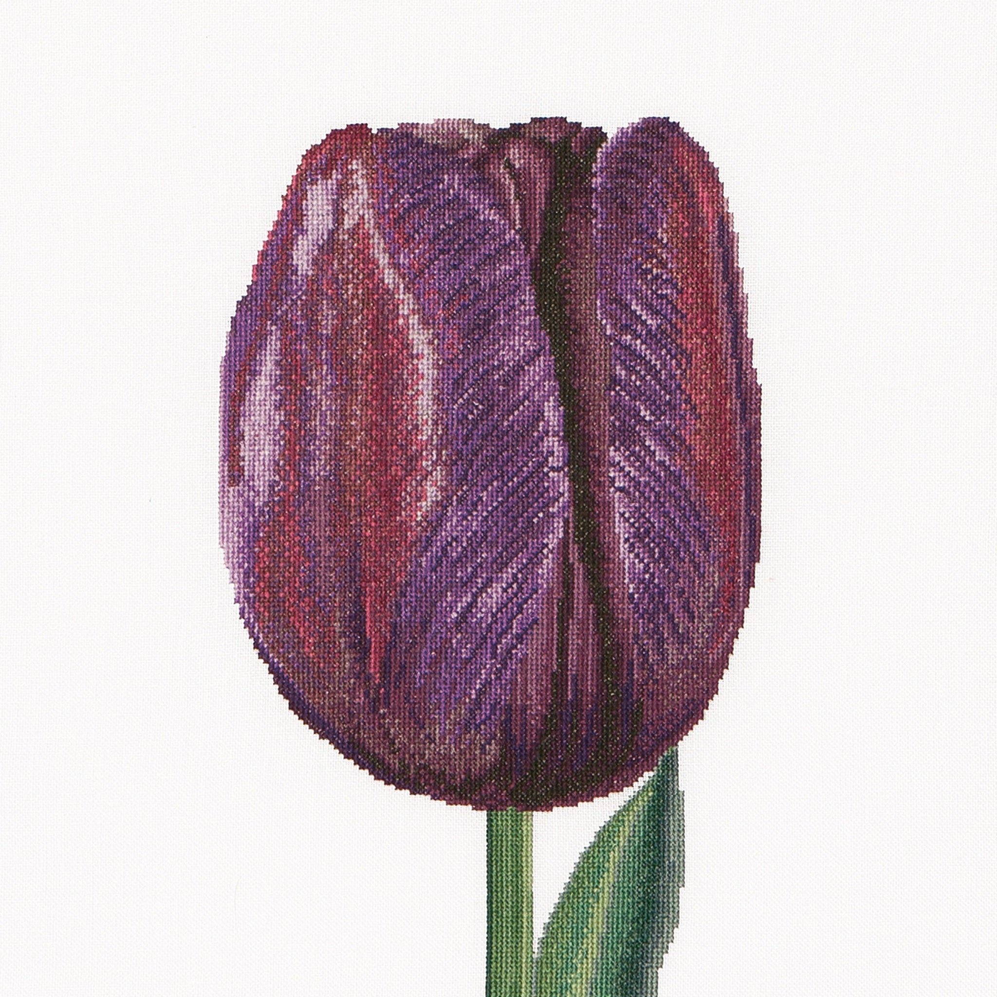 Thea Gouverneur - Counted Cross Stitch Kit - Purple Triumph Tulip - Aida - 16 count - 514A - Thea Gouverneur Since 1959