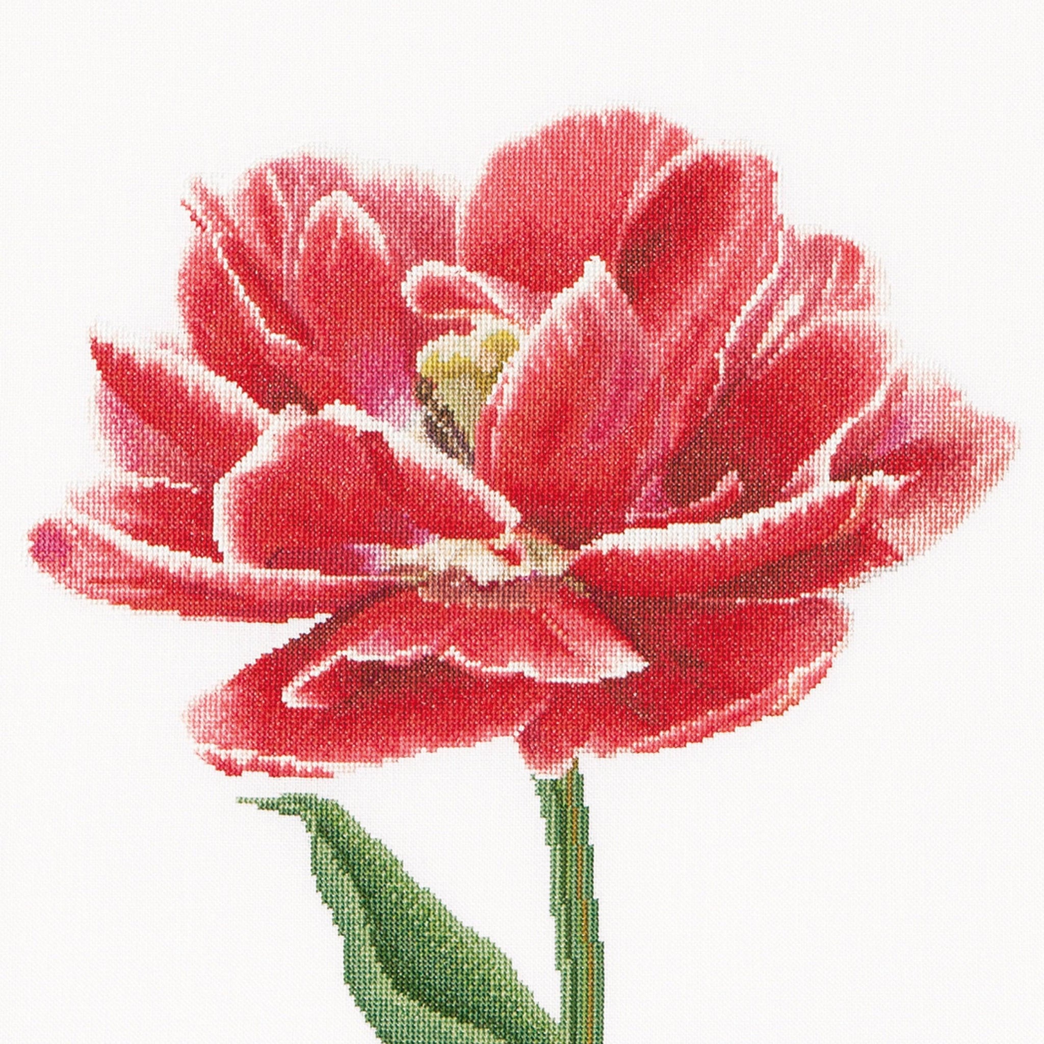 Thea Gouverneur - Counted Cross Stitch Kit - Red/White Edged Early Double Tulip - Aida - 16 count - 520A - Thea Gouverneur Since 1959