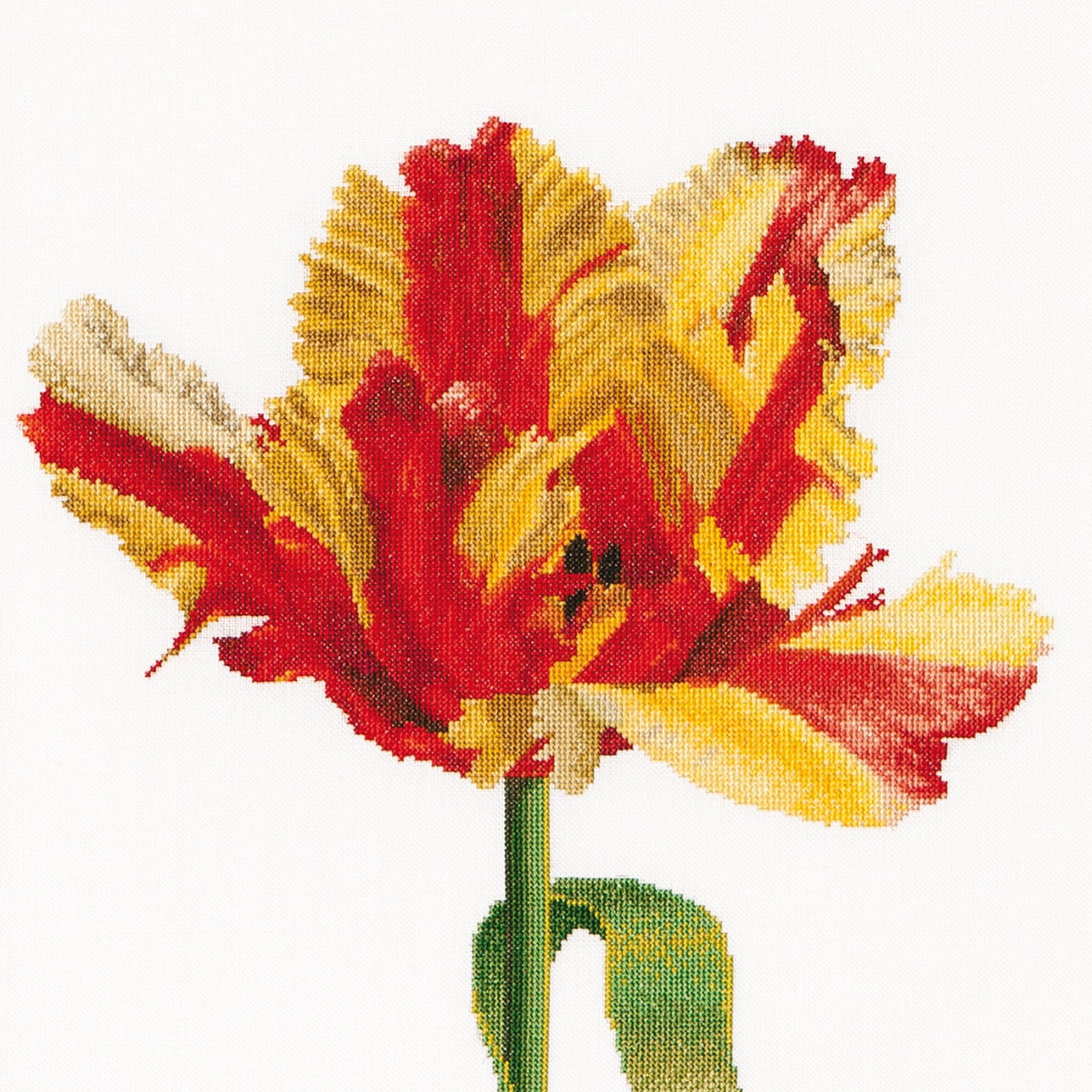 Thea Gouverneur - Counted Cross Stitch Kit - Red/Yellow Parrot tulip - Aida - 16 count - 519A - Thea Gouverneur Since 1959