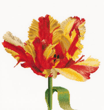 Thea Gouverneur - Counted Cross Stitch Kit - Red/Yellow Parrot Tulip - Linen - 32 count - 519 - Thea Gouverneur Since 1959