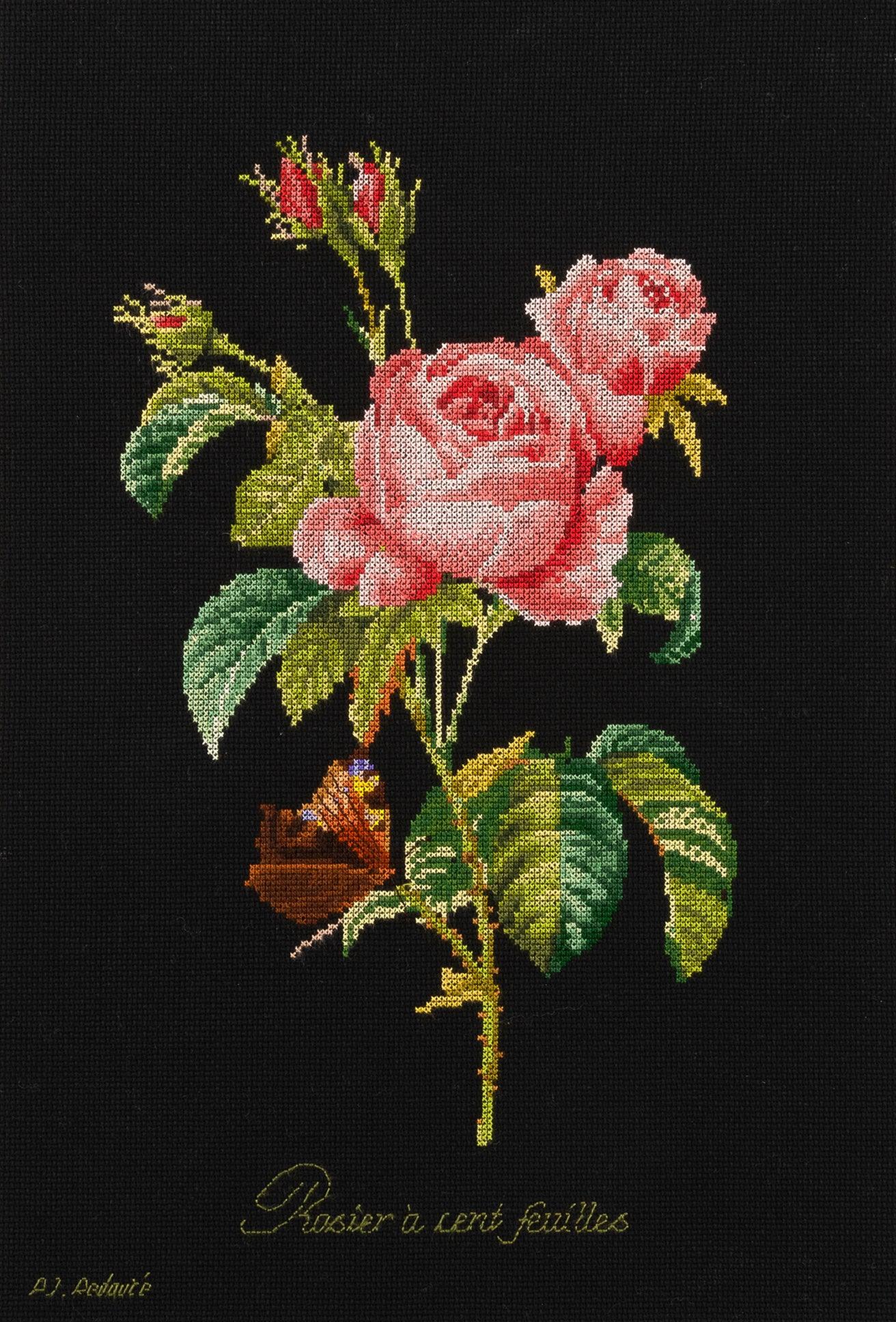 Thea Gouverneur - Counted Cross Stitch Kit - Rose Redouté - Aida Black - 18 count - 2030.05 - Thea Gouverneur Since 1959