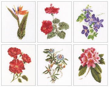 Thea Gouverneur - Counted Cross Stitch Kit - Six Floral Studies - 1 - Aida - 18 count - 3081A - Thea Gouverneur Since 1959