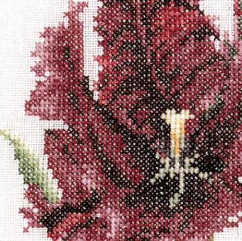 Thea Gouverneur - Counted Cross Stitch Kit - Six Floral Studies - 2 - Aida - 18 count - 3083A - Thea Gouverneur Since 1959