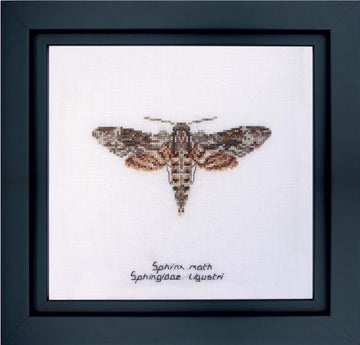 Thea Gouverneur - Counted Cross Stitch Kit - Sphinx moth - Aida - 16 count - 564A - Thea Gouverneur Since 1959