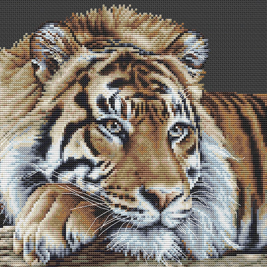 Thea Gouverneur - Counted Cross Stitch Kit - Tiger - Black Aida - 14 count - 579.05 - Thea Gouverneur Since 1959