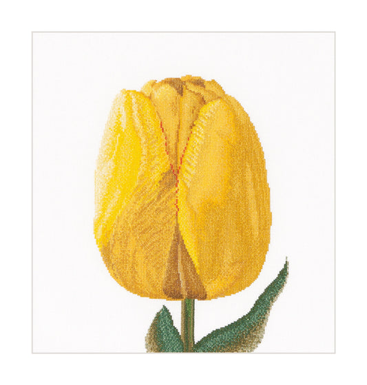 Thea Gouverneur - Counted Cross Stitch Kit - Yellow Hybrid Tulip - Linen - 32 count - 522 - Thea Gouverneur Since 1959